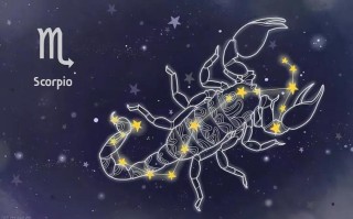 十二星座今日星座运势 - 十二星座的今日运势星座屋